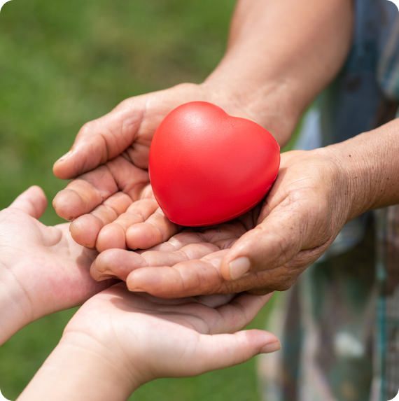 Donation